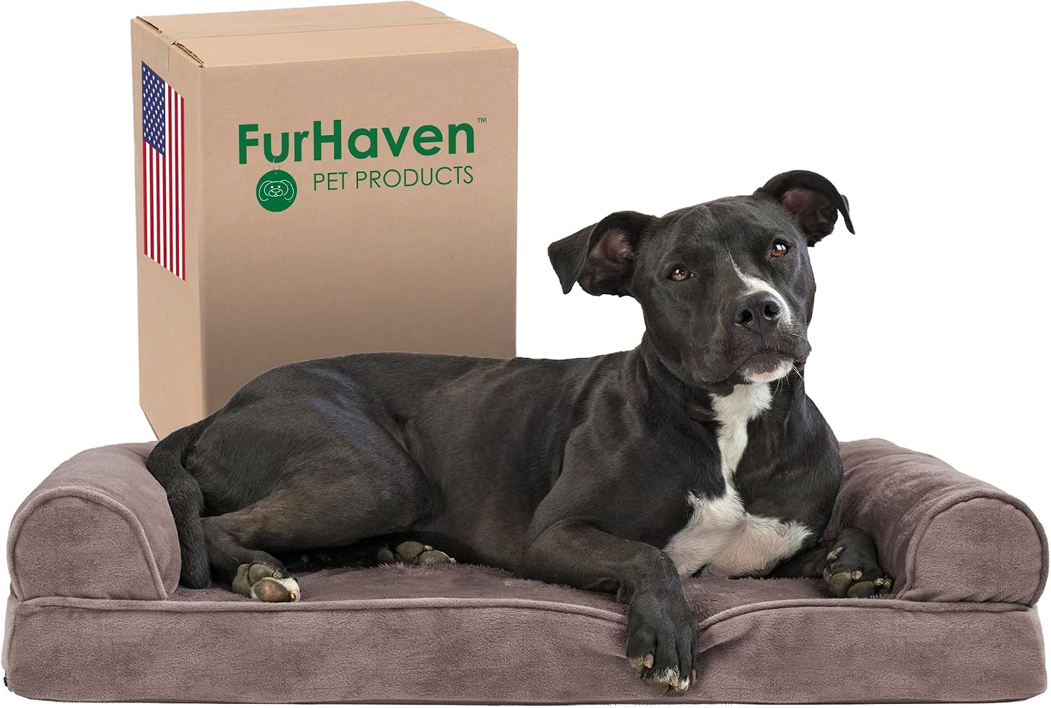 Furhaven memory foam orthopedic pet bed for senior cats with arthritis and joint pain