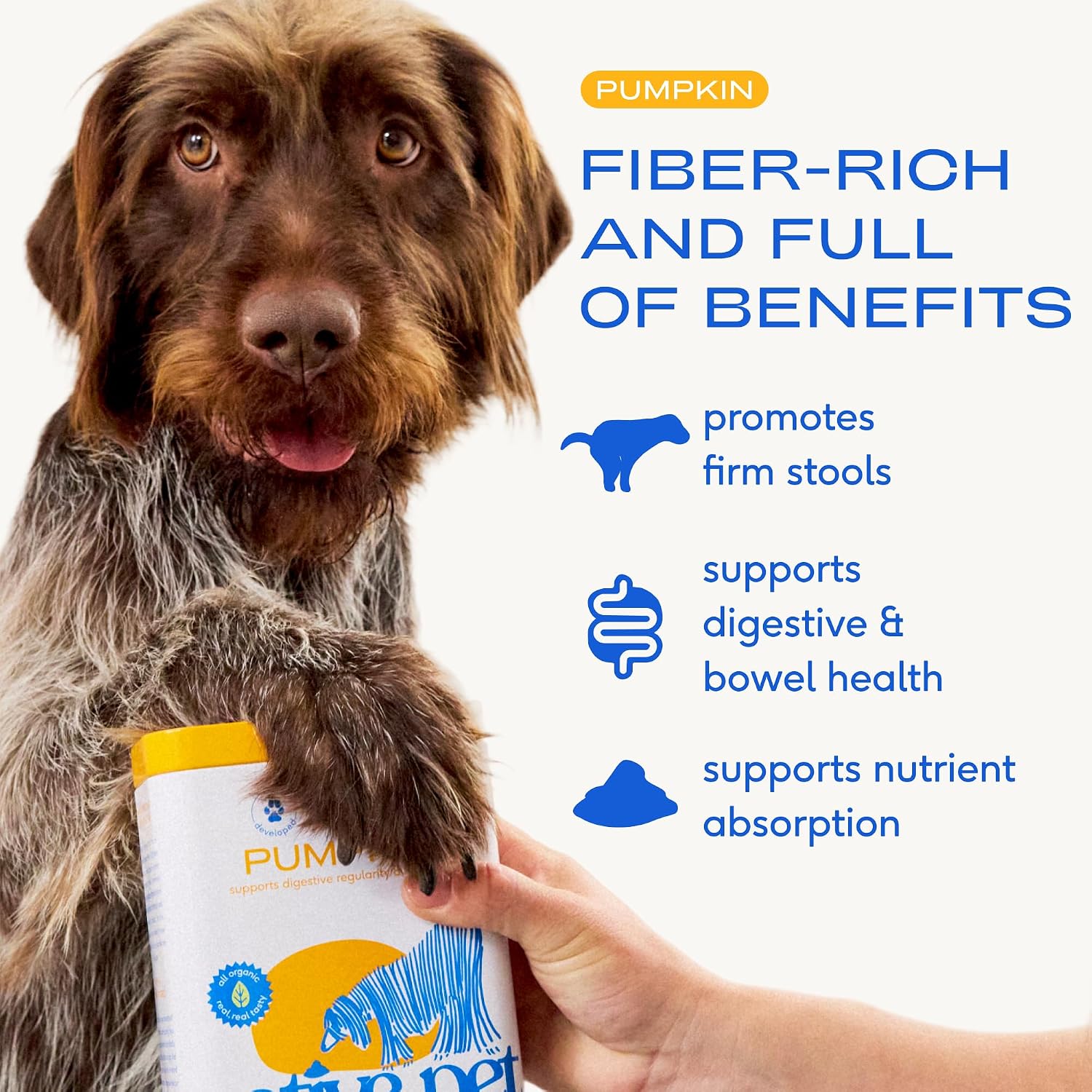 Native Pet organic pumpkin powder food topper for dog digestion and sensitive stomachs