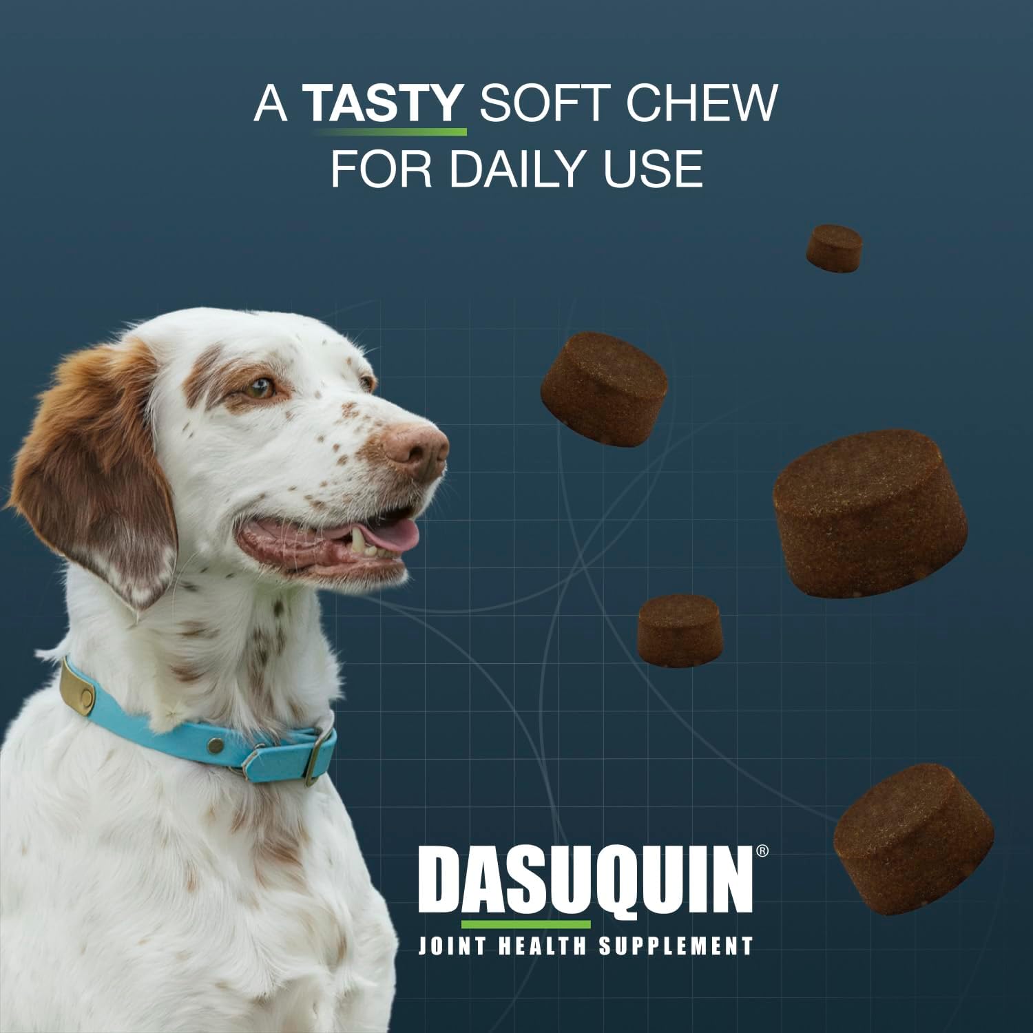 Nutramax Dasuquin with MSM joint supplement soft chews for small and medium dogs